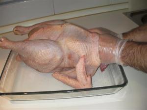 Fisioterapia del pollo