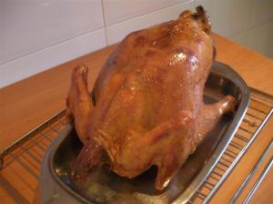 Pollo modernista recién asado