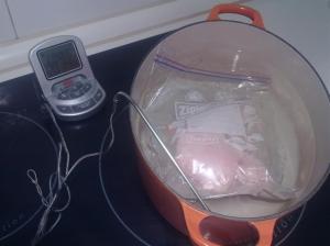 Sous-Vide en cocotte con una sonda digital
