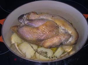 Pintada acostada sobre un lado