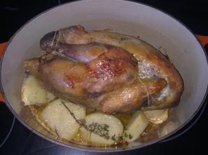 Pintada acostada sobre el otro lado