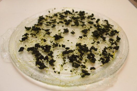 Pulpa de salvia lista para deshidratar en el microondas