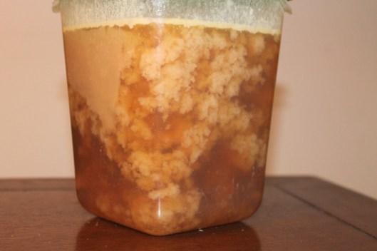 Aspecto del caldo de cocido modernista al enfriarse