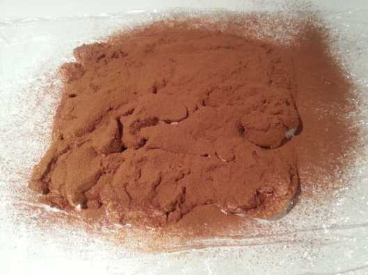 Foie cubierto de cacao