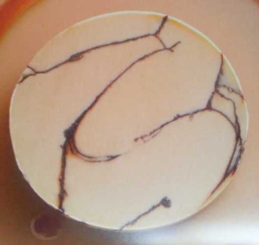 Torchon de foie al cacao de Eleven Madison Park