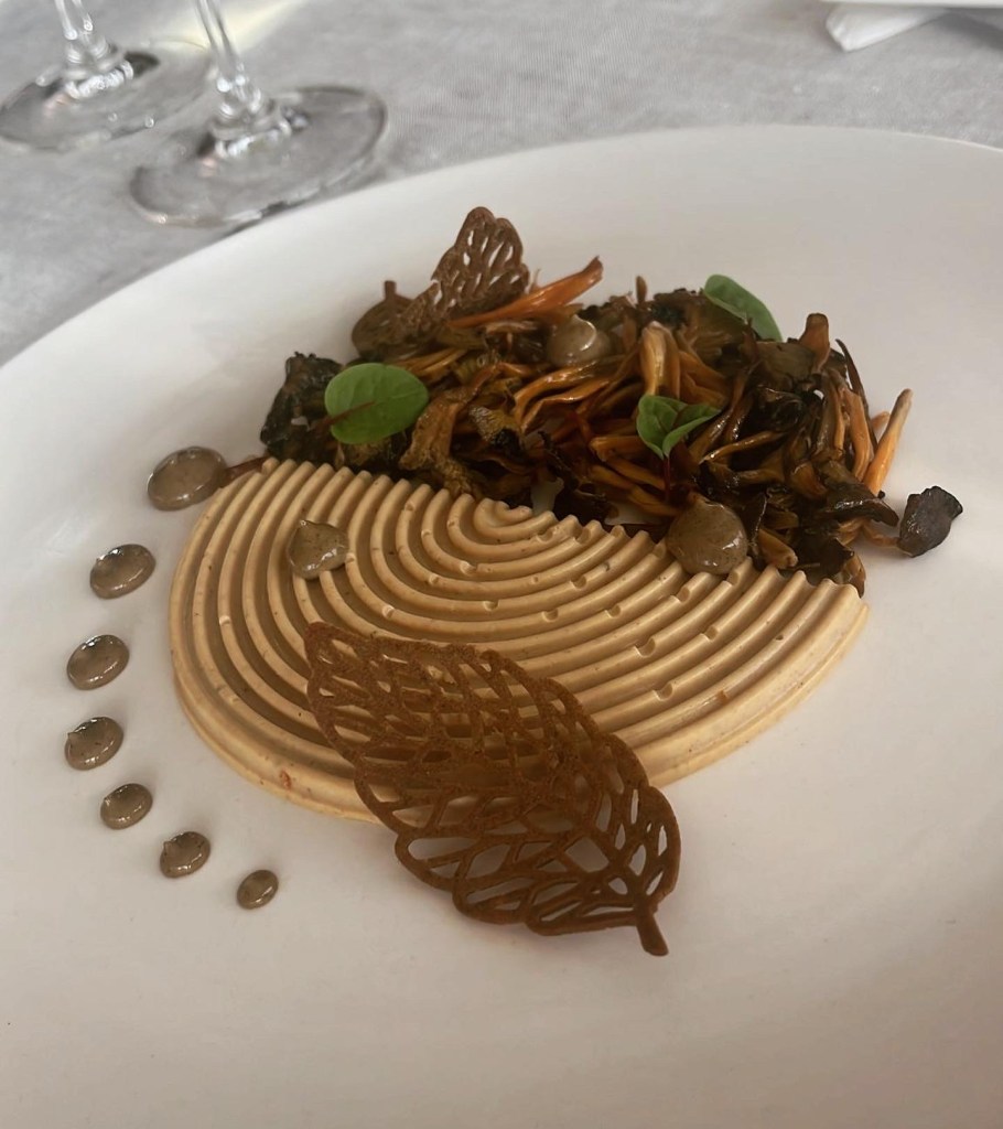 Panna cotta de rebozuelos, angulas de monte rehogadas, emulsión y tulipas de boletus.